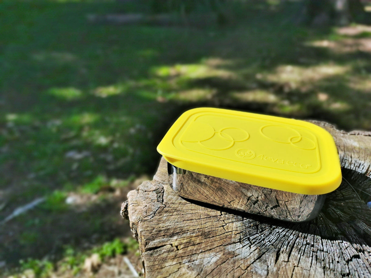 Stainless steel lunch box on the tree stump